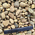 Kamenclub.ru: Галька речная окат рыжая фр. 20-40 мм. купить  в Москве галька речная окатанная рыжая желтая серая округлая речная галька 5000 руб/т   фото КАМЕНЬ КЛУБ