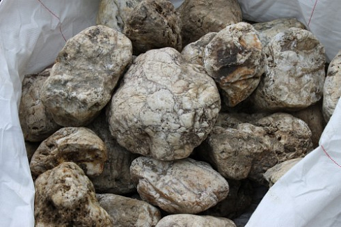 Kamenclub.ru: Кварцевый валунчик фр.100-300 мм.  купить в Москве кварц белый, бежевый молочный рыжий крупный природный камень галечник 7850 руб/т   фото КАМЕНЬ КЛУБ