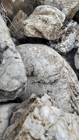 Kamenclub.ru: Кварцевый валунчик фр.100-300 мм.  купить в Москве кварц белый, бежевый молочный рыжий крупный природный камень галечник 7850 руб/т   фото КАМЕНЬ КЛУБ