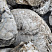 Kamenclub.ru: Кварцевый валунчик фр.100-300 мм.  купить в Москве кварц белый, бежевый молочный рыжий крупный природный камень галечник 7850 руб/т   фото КАМЕНЬ КЛУБ